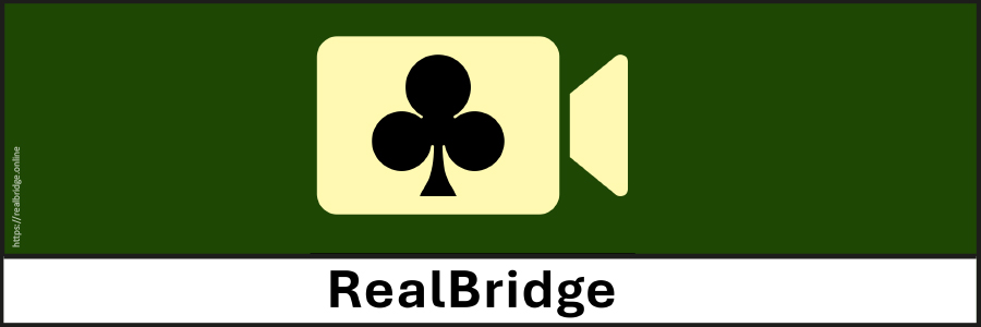 Logo von RealBridge.online