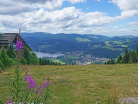 Titisee aus der Entfernung - Autor pixabay - Pixel-mixer